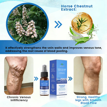 🇬🇧✅✅GFOUK® VascuCare Vein Healing Spray(Designed for Varicose veins, Spider veins, Deep vein Thrombosis, Chronic venous insufficiency, Venous ulcers, Thrombophlebitis and other venous issues)